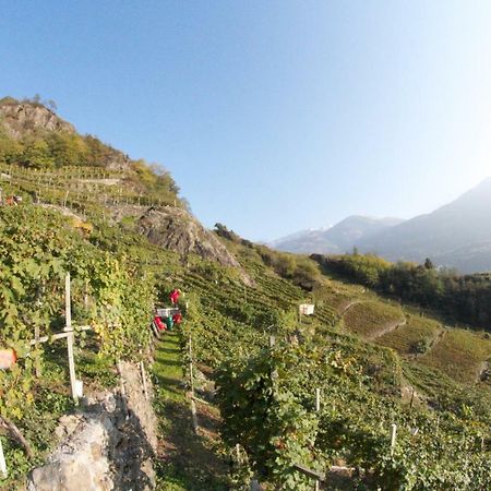 Winebnb Sondrio Exteriör bild